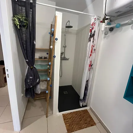 شقة Proche Ajaccio, F2 Avec Terrasse Et Garage, 4 Personnes, Animaux Admis Sarrola-Carcopino